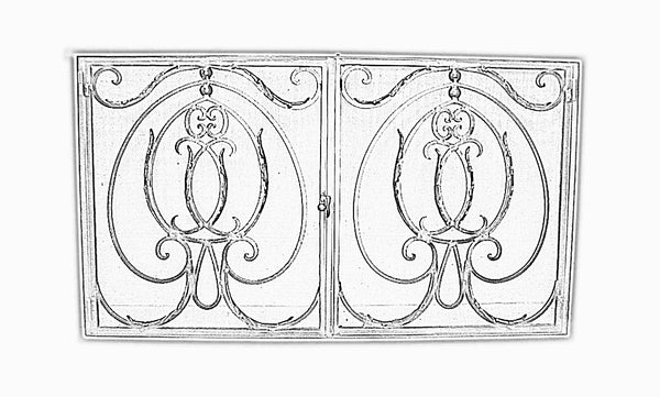 Rodeo  Fireplace Screen Door