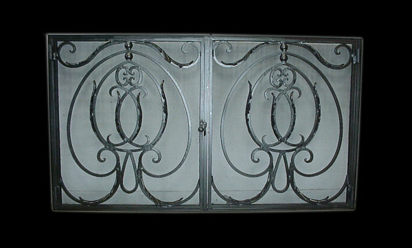 Rodeo  Fireplace Screen Door