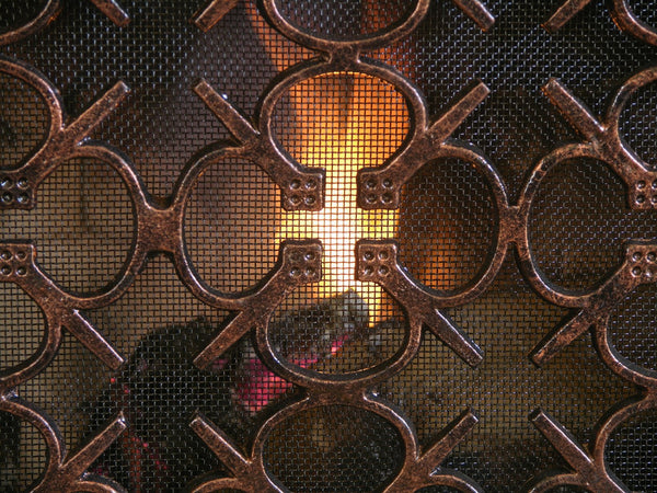 Parsival Fireplace Screen Door