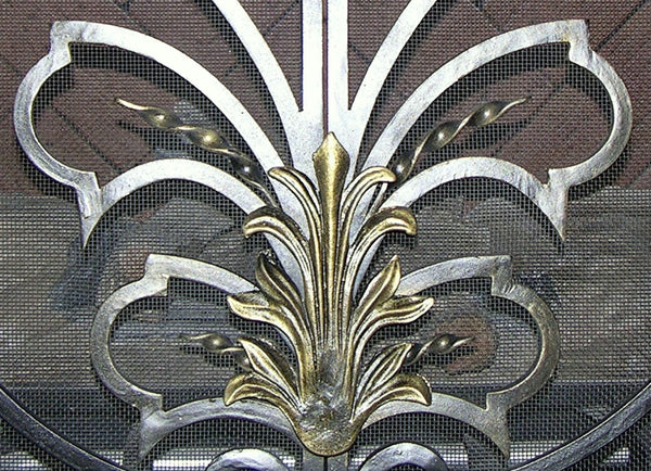 Regency Fireplace Screen Door